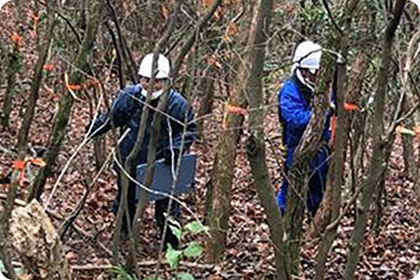 立竹木の調査