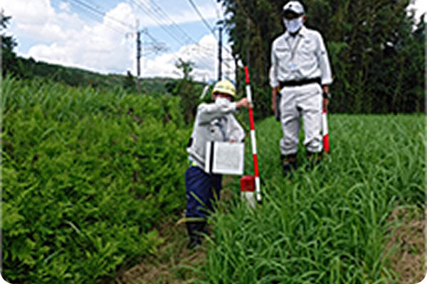 境界確認