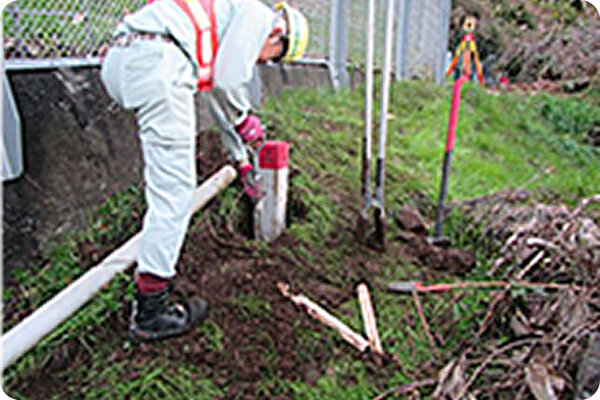 用地杭の建植